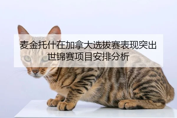 mai-jin-tuo-shen-zai-jia-na-da-xuan-ba-sai-biao-xian-tu-chu-shi-jin-sai-xiang-mu-an-pai-fen-xi-2-100.jpg