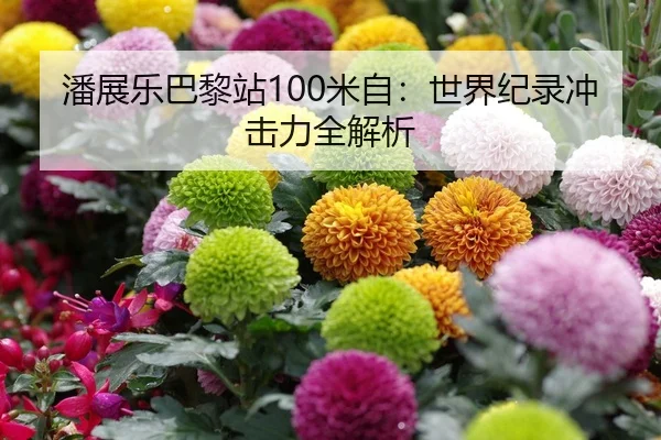 潘展乐巴黎站100米自：世界纪录冲击力全解析