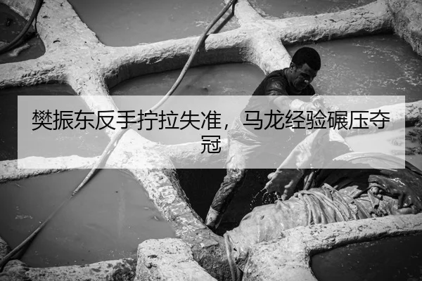 樊振东反手拧拉失准，马龙经验碾压夺冠