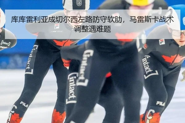 ku-ku-lei-li-ya-cheng-qie-er-xi-zuo-lu-fang-shou-ruan-lei-ma-lei-si-ka-zhan-shu-tiao-zheng-yu-nan-ti-2-554.jpg