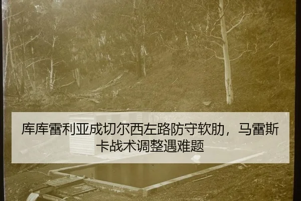 ku-ku-lei-li-ya-cheng-qie-er-xi-zuo-lu-fang-shou-ruan-lei-ma-lei-si-ka-zhan-shu-tiao-zheng-yu-nan-ti-3-525.jpg
